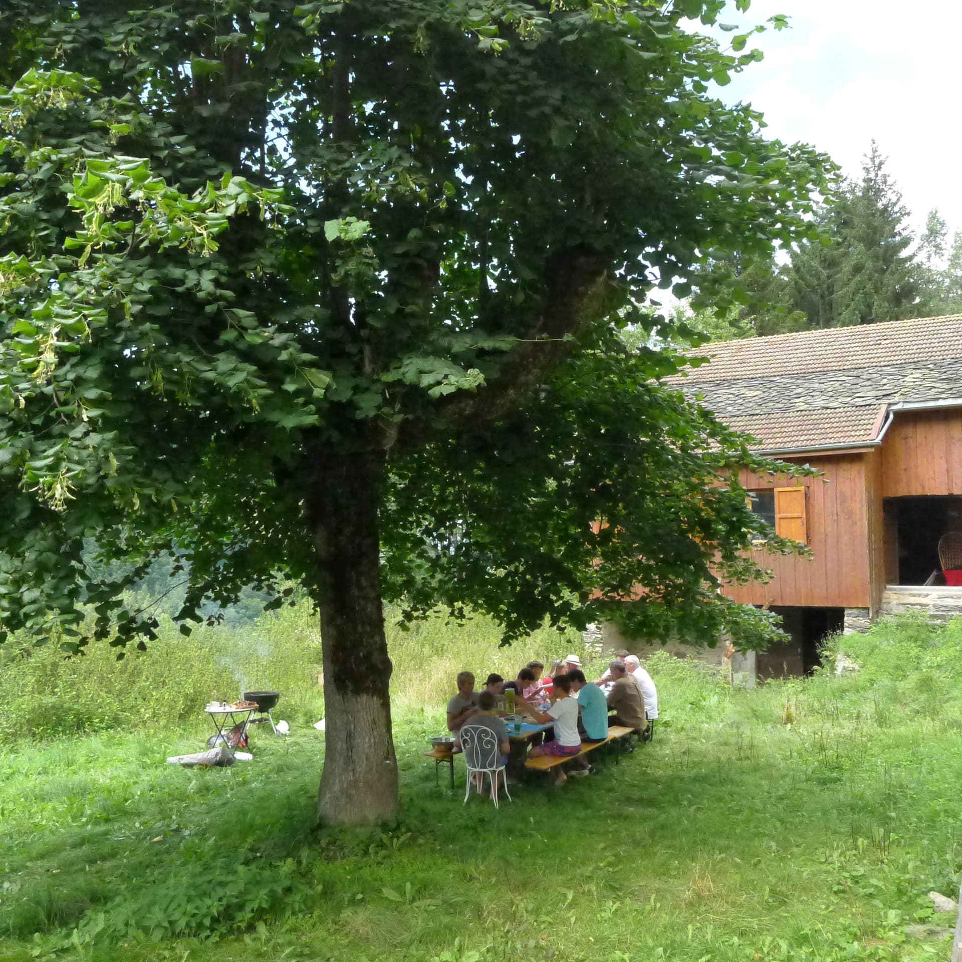 Repas partagé en extérieur sous un grand tilleul, devant la maison en bois